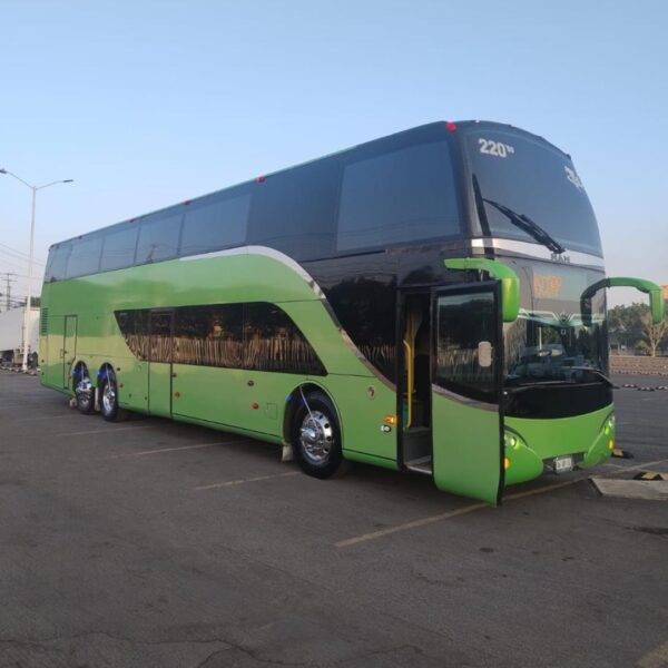 Labradores-bus